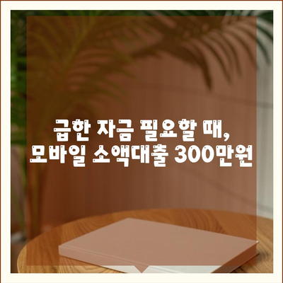 모바일 소액대출 300만원