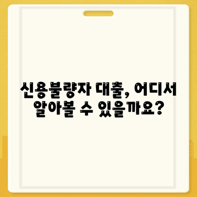 신용불량자 대출 대상