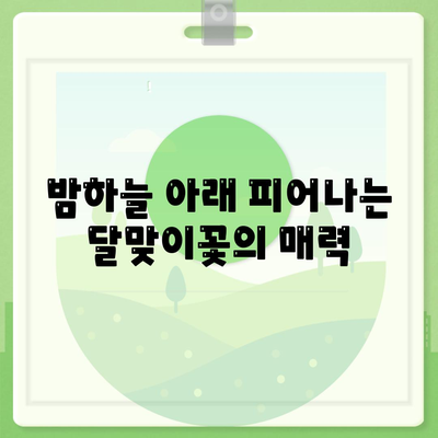 달맞이꽃