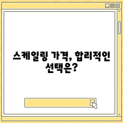 스케일링 가격