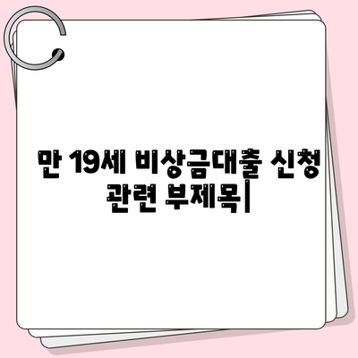 만 19세 비상금대출 신청