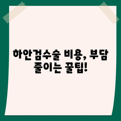 하안검수술 비용