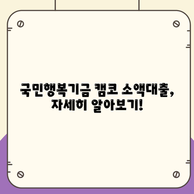 국민행복기금 캠코 소액대출