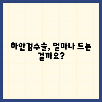 하안검수술 비용