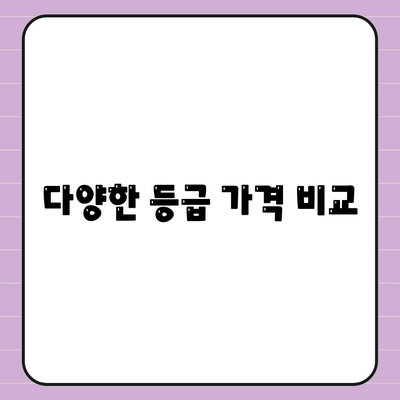 다양한 등급 가격 비교