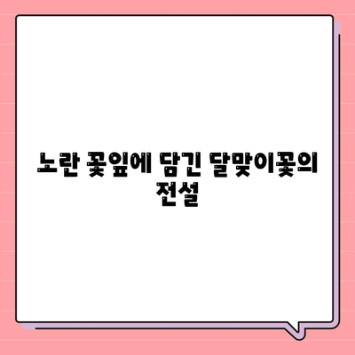 달맞이꽃