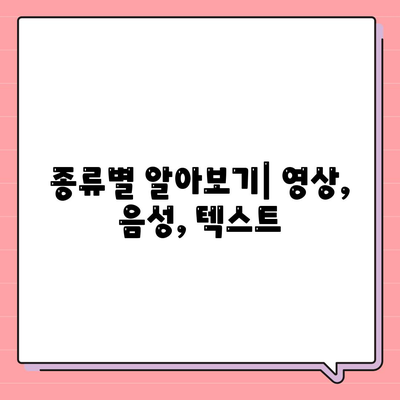 종류별 알아보기| 영상, 음성, 텍스트