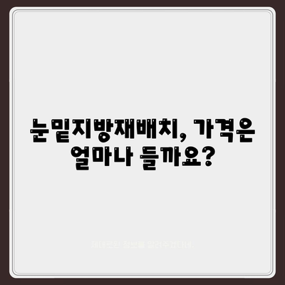 눈밑지방재배치 가격