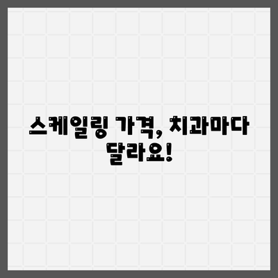 스케일링 가격