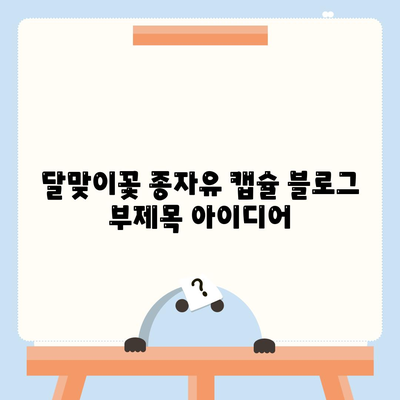 달맞이꽃 종자유 캡슐