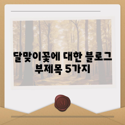 달맞이꽃