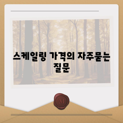 스케일링 가격