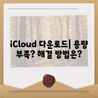 iCloud 다운로드