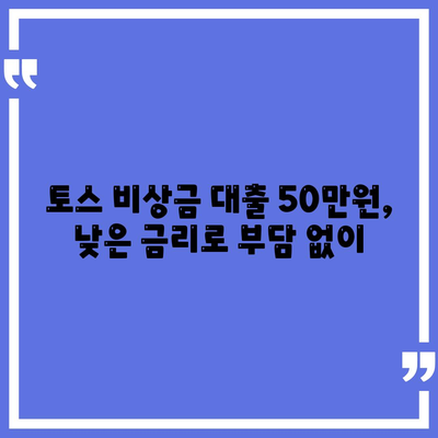 토스 비상금 대출 50만원