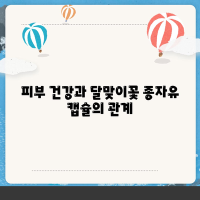 달맞이꽃 종자유 캡슐