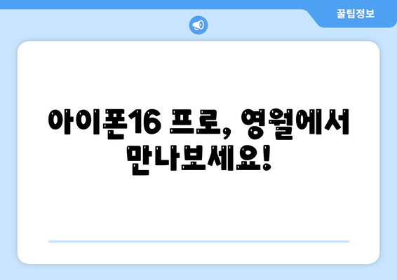 강원도 영월군 무릉도원면 아이폰16 프로 사전예약 | 출시일 | 가격 | PRO | SE1 | 디자인 | 프로맥스 | 색상 | 미니 | 개통