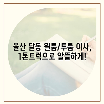 울산시 남구 달동 포장이사비용 | 견적 | 원룸 | 투룸 | 1톤트럭 | 비교 | 월세 | 아파트 | 2024 후기