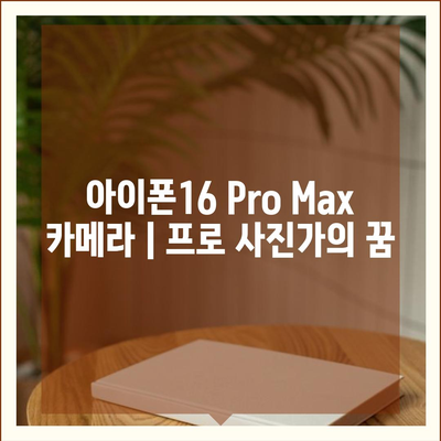 아이폰16 Pro Max 카메라 | 프로 사진가의 꿈