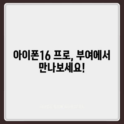 충청남도 부여군 홍산면 아이폰16 프로 사전예약 | 출시일 | 가격 | PRO | SE1 | 디자인 | 프로맥스 | 색상 | 미니 | 개통