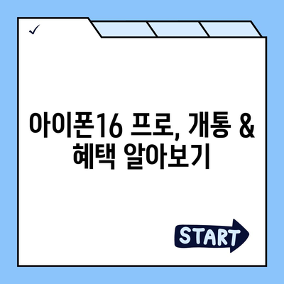 부산시 부산진구 부암3동 아이폰16 프로 사전예약 | 출시일 | 가격 | PRO | SE1 | 디자인 | 프로맥스 | 색상 | 미니 | 개통