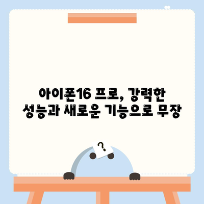 아이폰16 대한민국 1차 출시 확정 | 프로 모델 가격 및 화면 확대