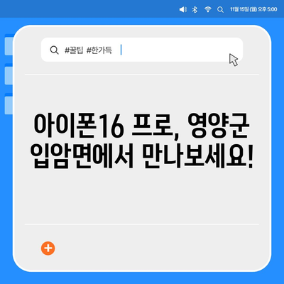 경상북도 영양군 입암면 아이폰16 프로 사전예약 | 출시일 | 가격 | PRO | SE1 | 디자인 | 프로맥스 | 색상 | 미니 | 개통