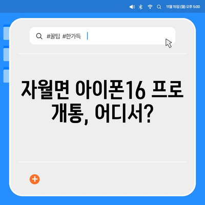 인천시 옹진군 자월면 아이폰16 프로 사전예약 | 출시일 | 가격 | PRO | SE1 | 디자인 | 프로맥스 | 색상 | 미니 | 개통