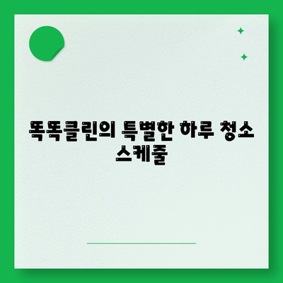 부산 이사 청소업체 똑똑클린, 하루 한 집만 완벽히 청소하는 비결