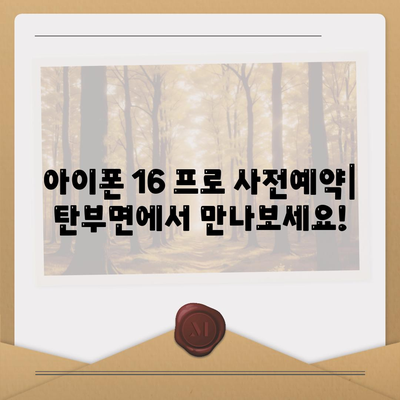 충청북도 보은군 탄부면 아이폰16 프로 사전예약 | 출시일 | 가격 | PRO | SE1 | 디자인 | 프로맥스 | 색상 | 미니 | 개통