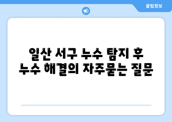 일산 서구 누수 탐지 후 누수 해결