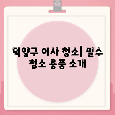 덕양구 이사 청소 작업 과정