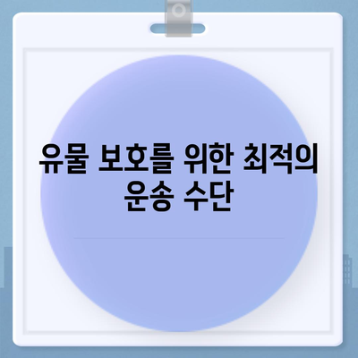 골동품 및 유물을 위한 안전한 이사 및 이민