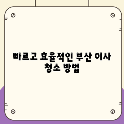 부산에서 최고의 이사 청소 서비스