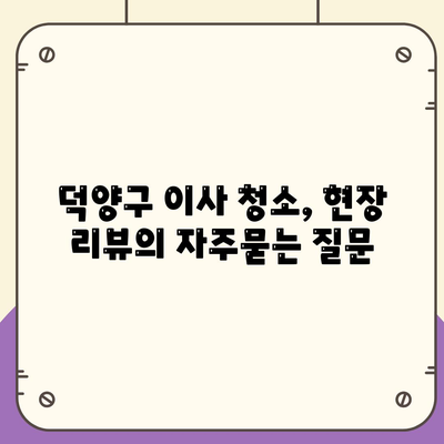 덕양구 이사 청소, 현장 리뷰