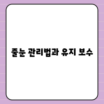 덕양구 이사 청소 | 탄성 코트 줄눈 시공 보고서