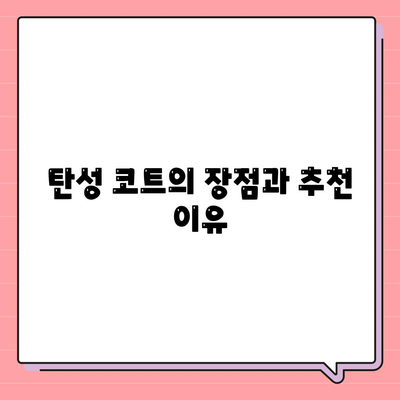 이사 청소 효과, 탄성 코트 줄눈 시공 보고