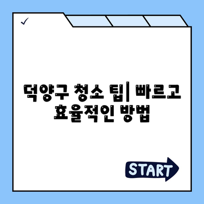 덕양구 이사 청소 작업 과정