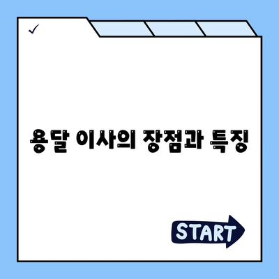 용달 지역 포장 이사 전문 업체 소개