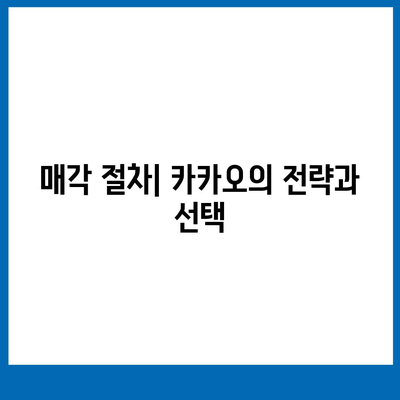 카카오 골프 퀀텀의 매각 이슈와 대응 방안