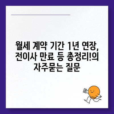 월세 계약 기간 1년 연장, 전이사 만료 등 총정리!