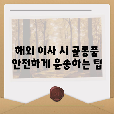 골동품 관리와 해외 이사 견적