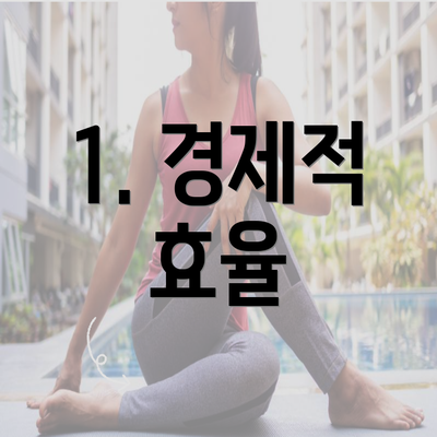 1. 경제적 효율