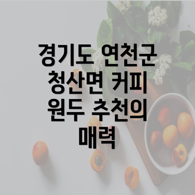 경기도 연천군 청산면 커피 원두 추천의 매력