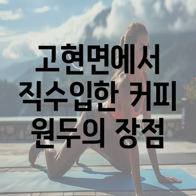 고현면에서 직수입한 커피 원두의 장점