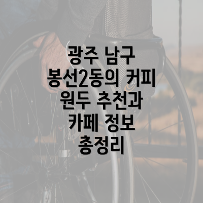 광주 남구 봉선2동의 커피 원두 추천과 카페 정보 총정리