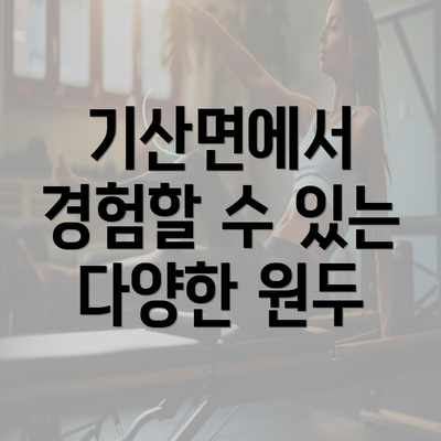 기산면에서 경험할 수 있는 다양한 원두