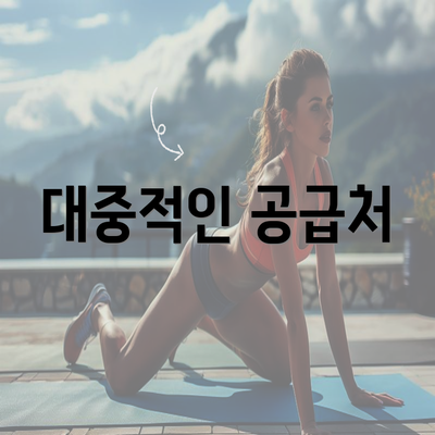 대중적인 공급처