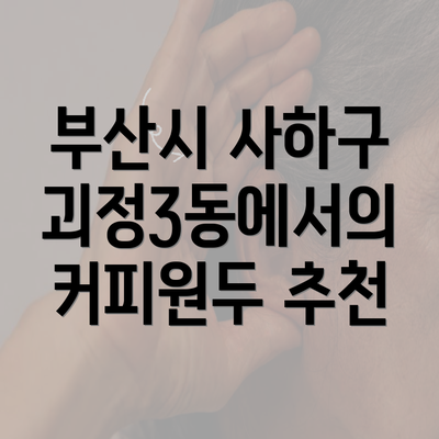 부산시 사하구 괴정3동에서의 커피원두 추천