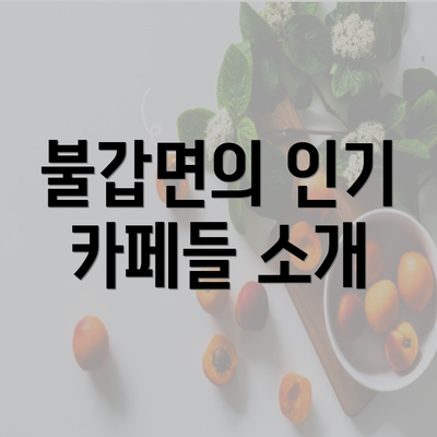 불갑면의 인기 카페들 소개