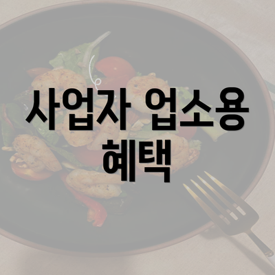 사업자 업소용 혜택